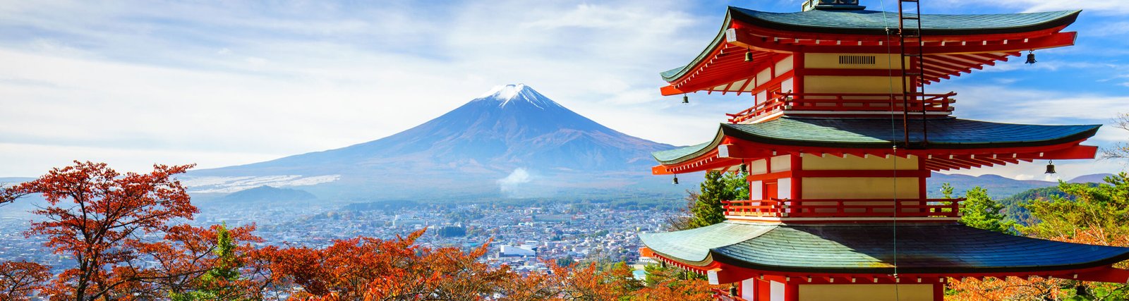 Japanese Festival