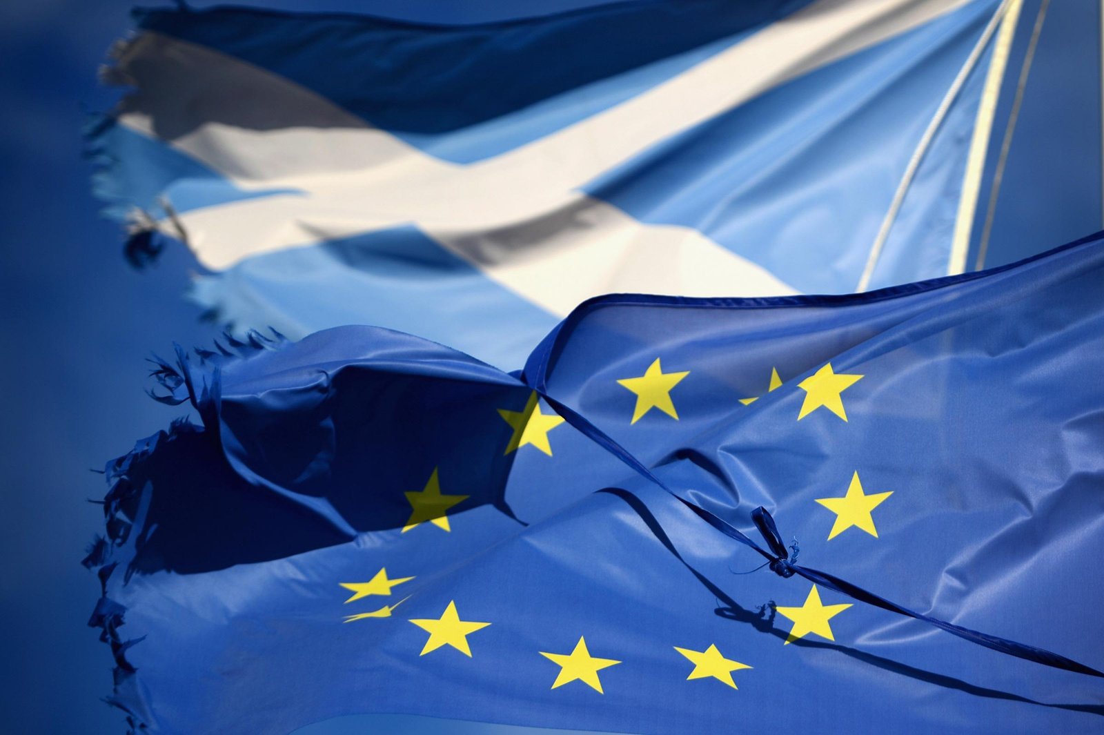 Independent Scotland would be welcome to join EU, claim Green MEPs
