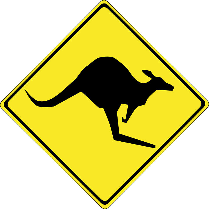 Wrestling With the “Aussie” Flu
