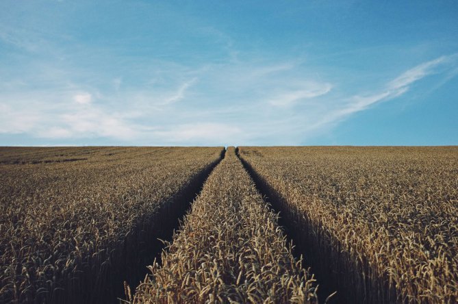 Warm weather threatens farm income