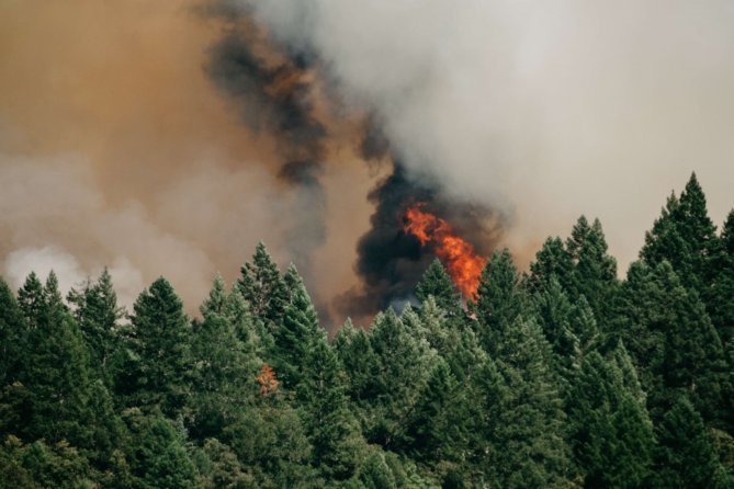 Villages in Germany evacuated as forest wildfire spreads