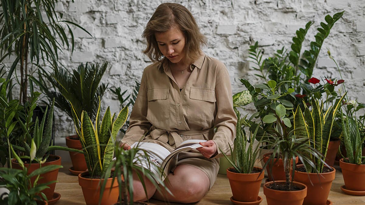 10 Low-light Plants to Raise During Lockdown