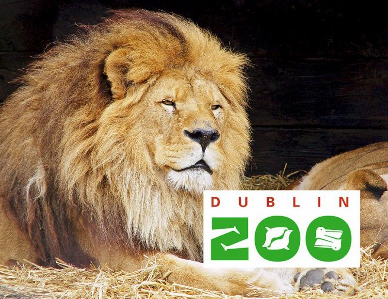 Dublin Zoo
