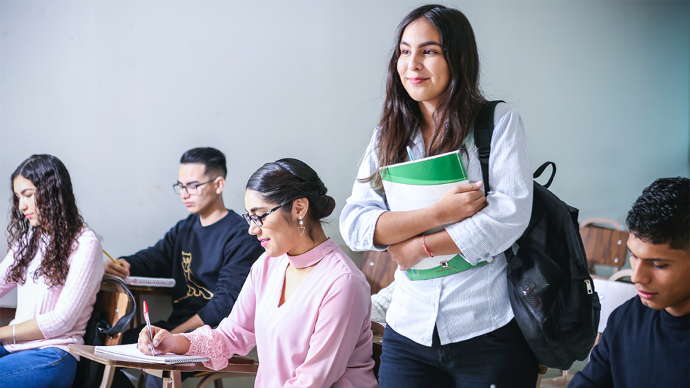 Four students and a professor: the French university experience in Ireland