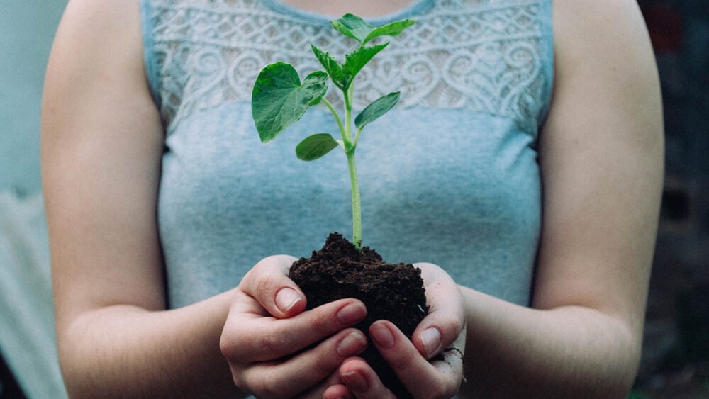 Our Climate Crisis: How you can help from home