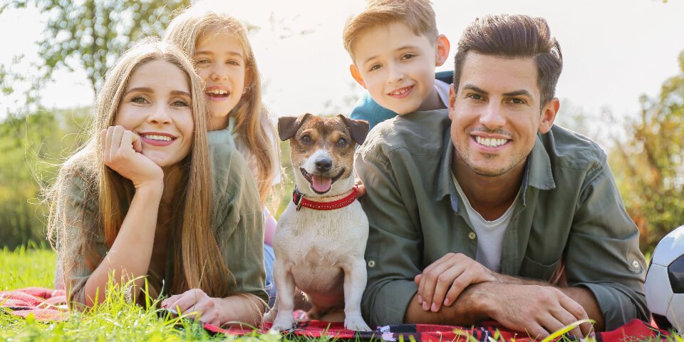 US Childcare & Health: Essential Services for Families