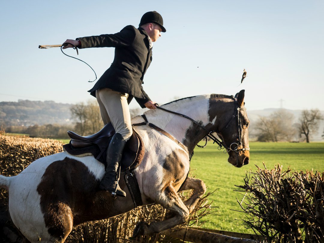Asian Games Tokyo equestrian schedule changes for 22 September 2026