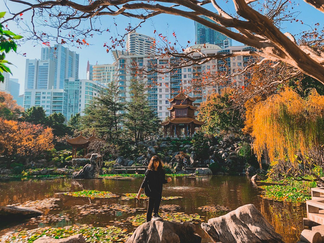 Sydney Moon Festival 2026: Chinese Garden programme, times and entry