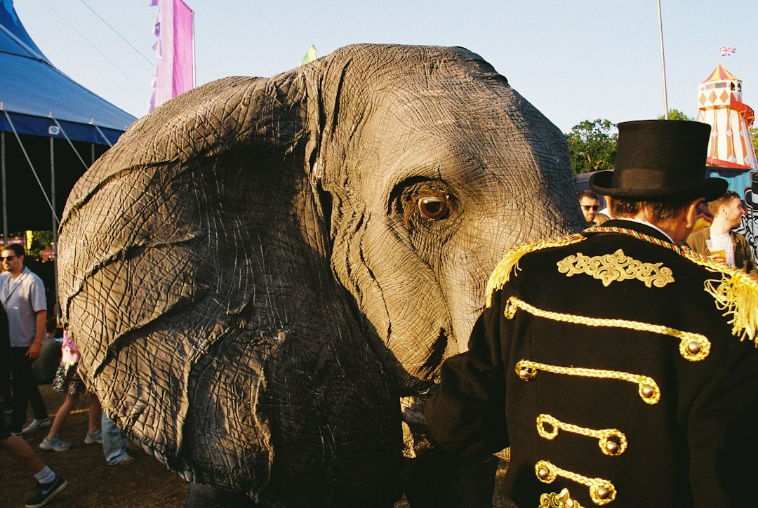 Melbourne Festival of Puppetry 2026: what to see from 22–27 September