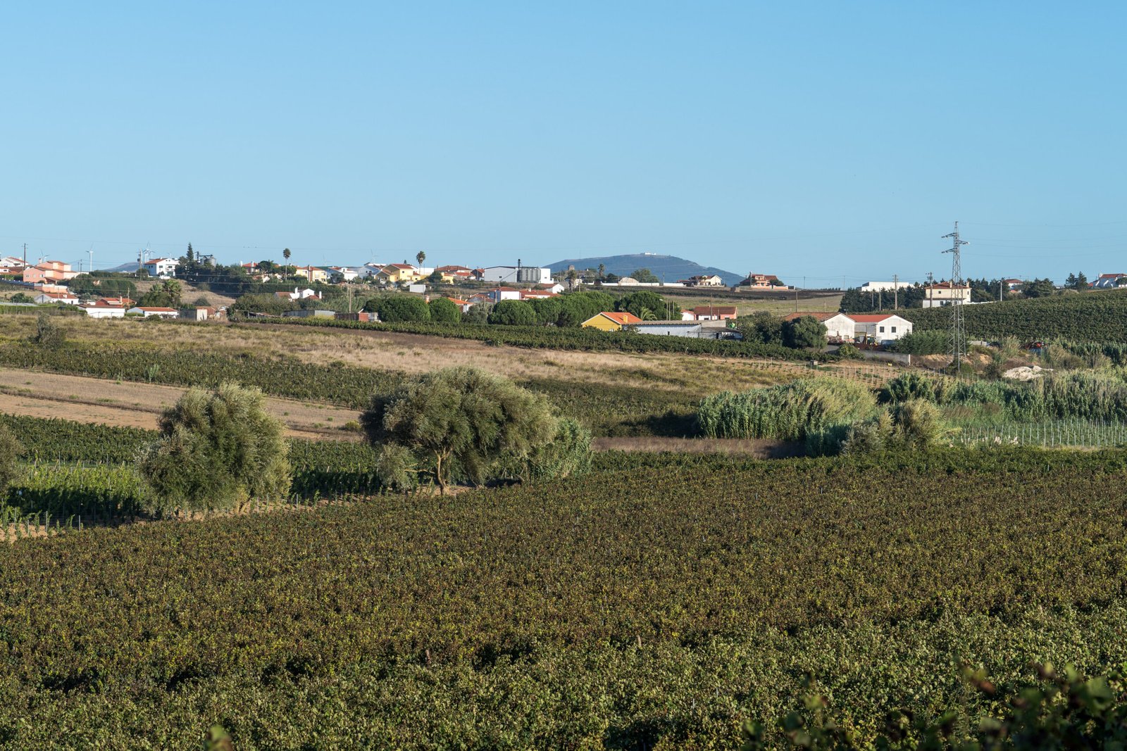Portugal rural property owners: BUPi registration is free until 30 September 2026