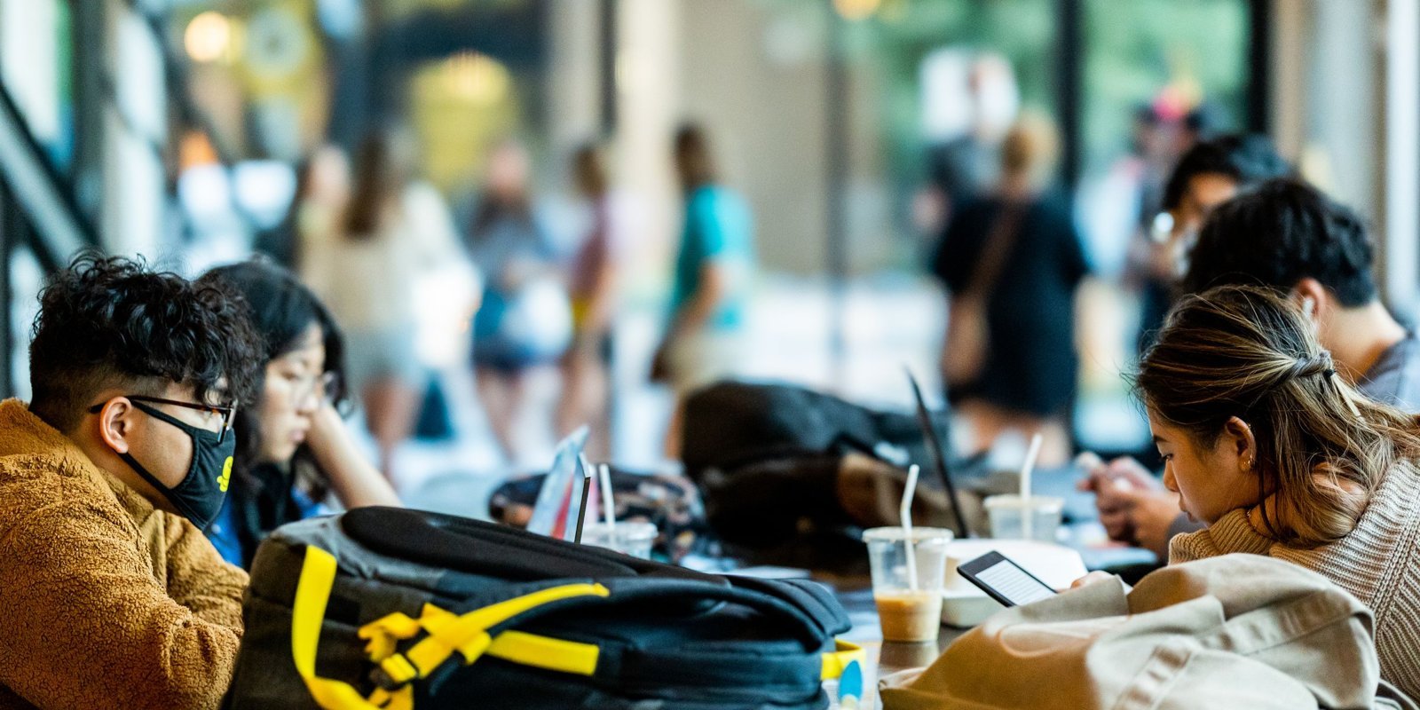 Dutch student loan interest 2027: DUO rates and the 2.5% cap explained