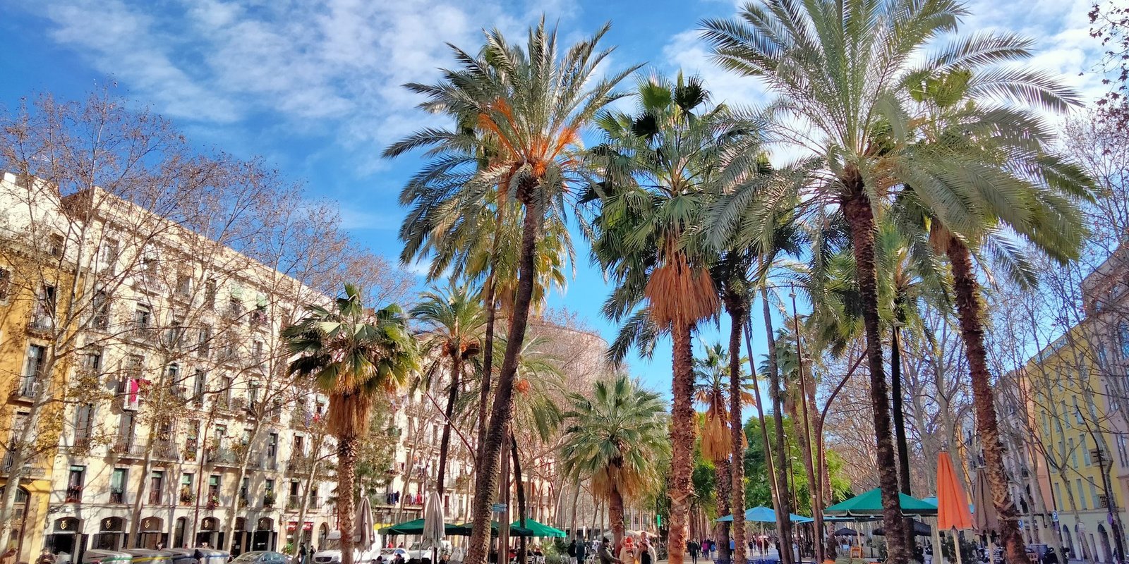 Raval(s) 2026: music, food and a different way to discover Barcelona